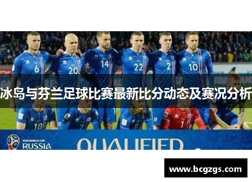 冰岛与芬兰足球比赛最新比分动态及赛况分析