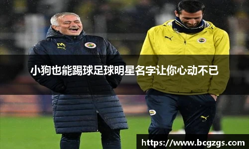 南宫28NG相信品牌力量